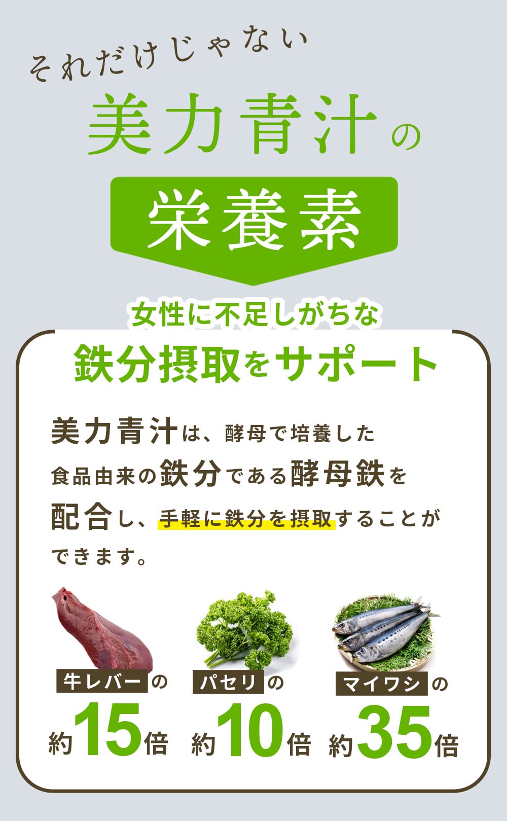美力青汁の栄養素