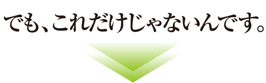 これだけじゃないんです。