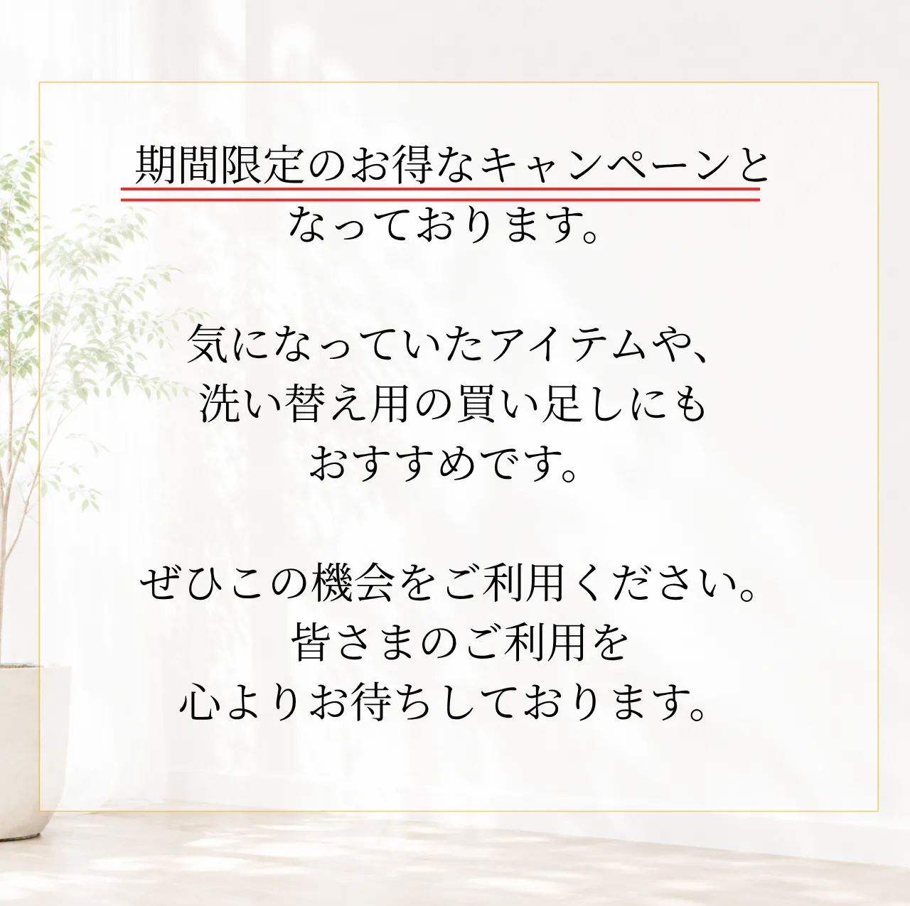 7月後半キャンペーン