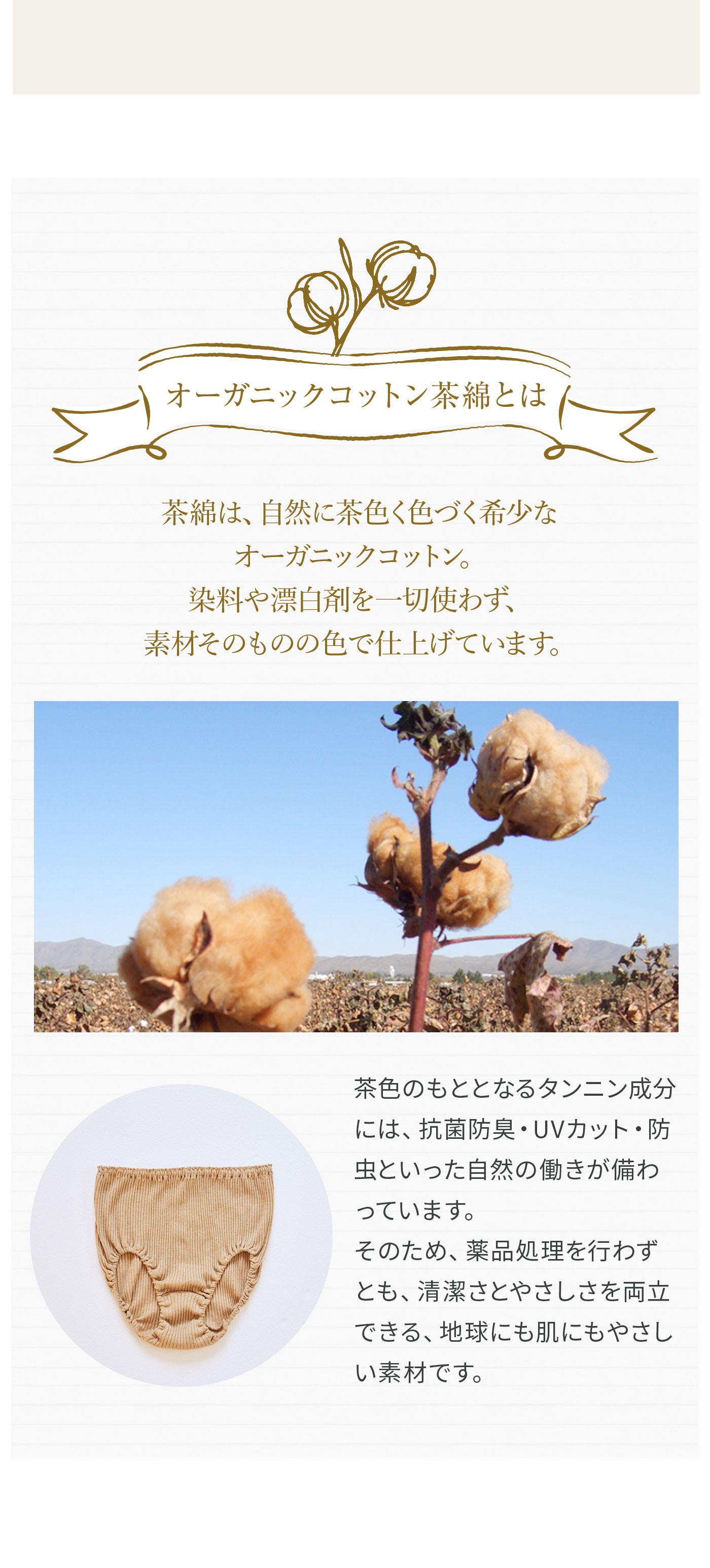 無染色オーガニックショーツ│オーガニックコットン茶綿とは