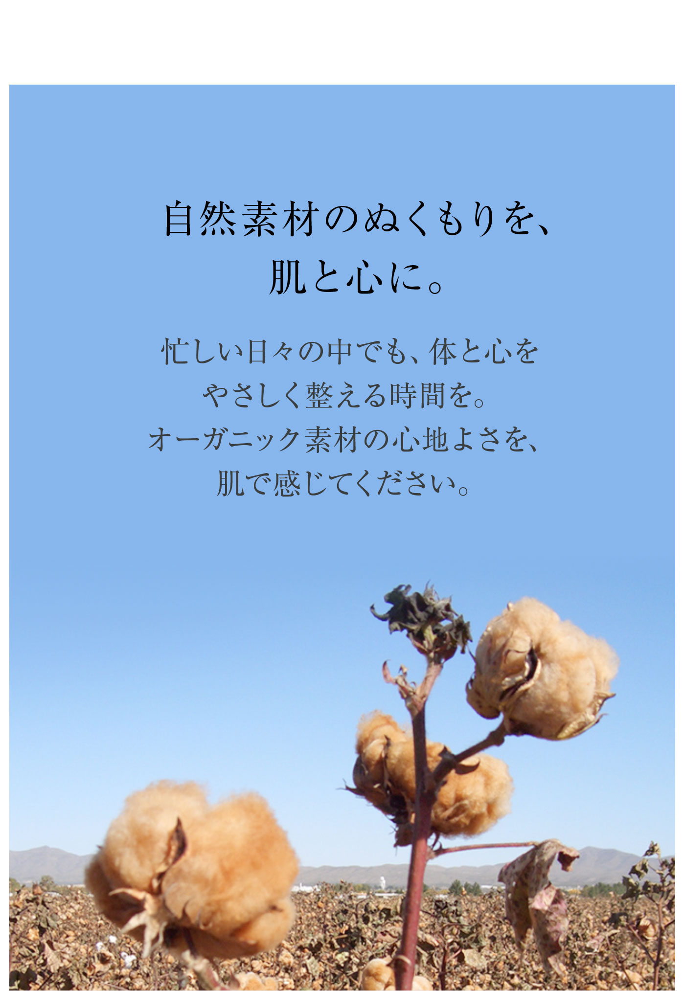 無染色オーガニックショーツ│自然素材のぬくもりを肌と心に